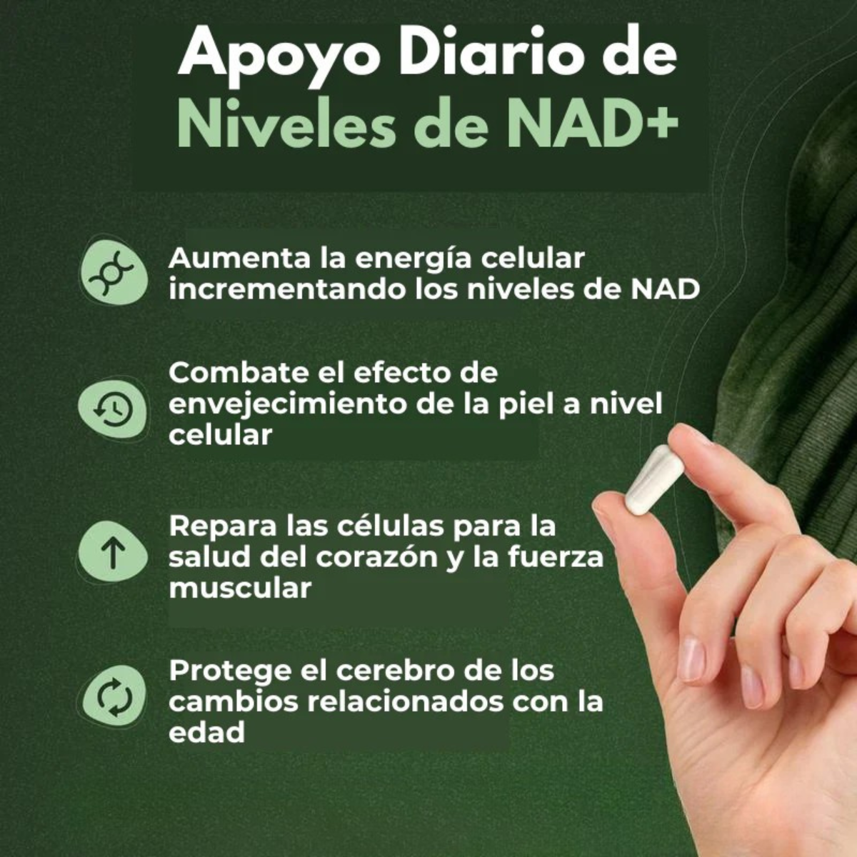 Renace+™ NAD+ Advanced Cata-Kor Envío GRATIS 🎁