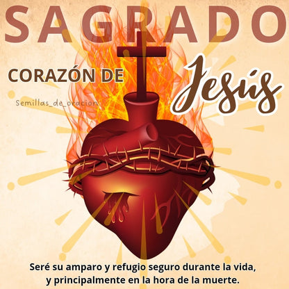 COLLAR SAGRADO CORAZON DE JESUS + ENVIO GRATIS 🎁